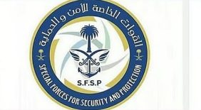 «الأمن والحماية» تضبط مخالفًا لنظام البيئة لنقله حطبًا محليًّا في تبوك
