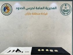 إحباط تهريب أكثر من 4 آلاف قرص من الإمفيتامين المخدر