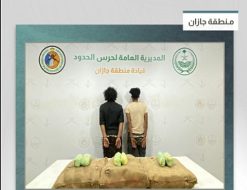 القبض على مخالفين من الجنسيتين اليمنية والإثيوبية لتهريبهما 60 كيلوجرامًا من القات في جازان