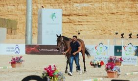اليوم.. اتحاد الفروسية ينظم نهائي دوري قفز الحواجز بالرياض