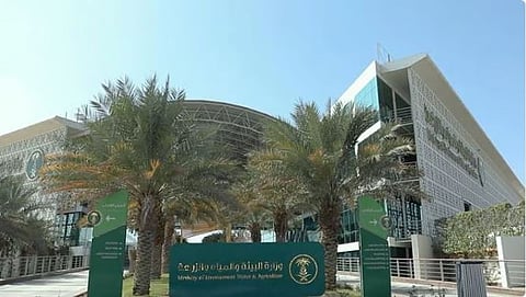 إطلاق أسبوع المياه السعودي الأول يونيو المقبل لوضع خريطة طريق لقيادة مستقبل القطاع إقليميًا وعالميًا
