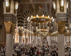 مراكز العناية بالضيوف بالمسجد النبوي تخدم ضيوف الرحمن على مدار الساعة