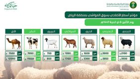 «بيئة الرياض»: وفرة كبيرة في الأضاحي واستقرار بالأسعار مع تعزيز الجولات الرقابية