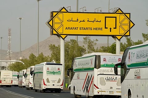 استقرار ضيوف برنامج خادم الحرمين في عرفات وسط خدمات متكاملة وأجواء إيمانية