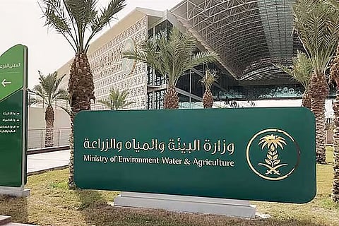 «بيئة جازان» يكثّف الرقابة الميدانية خلال موسم الأضحى بـ387 جولة رقابية