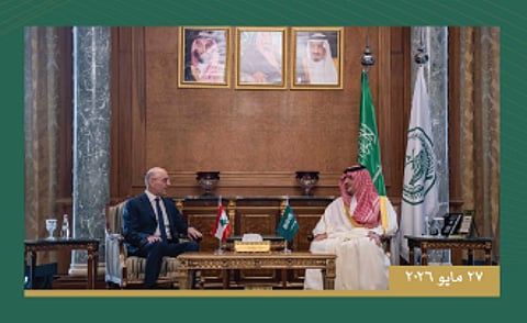 وزير الداخلية يبحث أوجه التعاون الأمني مع نظيره اللبناني