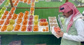 أهمية الرقابة الصحية على الأضاحي في منطقة الباحة للأمن الغذائي