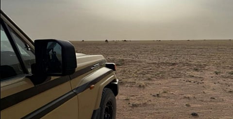 ضبط مخالف لنظام البيئة لارتكابه مخالفة رعي في محمية الملك عبدالعزيز الملكية