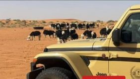 أهمية المحميات الملكية في خطة حماية البيئة في السعودية