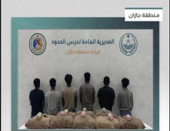 القبض على 6 مخالفين من الجنسية الإثيوبية لتهريبهم 160 كيلوجراما من القات في جازان