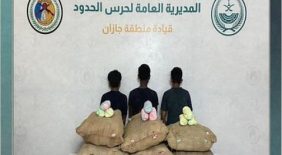 استراتيجية حرس الحدود السعودي لضمان استقرار الحدود والمنافذ
