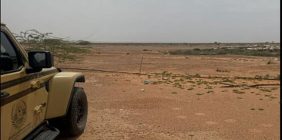 ضبط مواطن لارتكابه مخالفة رعي في محمية الملك عبدالعزيز الملكية