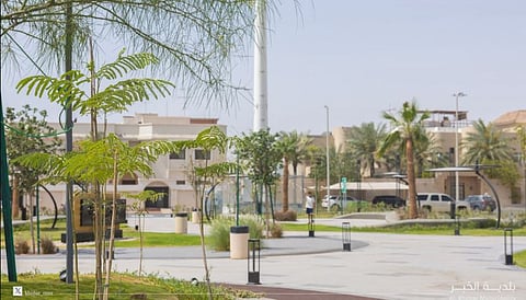 تشجير مدينة الخبر: خطوات رائدة نحو التنمية الحضرية المستدامة