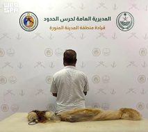المبادرات الوطنية الرائدة في حماية البيئة البحرية