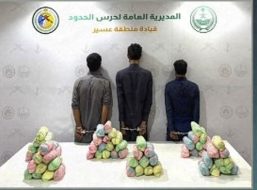 حرس الحدود بعسير يقبض على 3 يمنيين لتهريبهم 20 كيلو جراما من القات المخدر