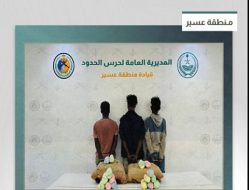 دوريات حرس الحدود بعسير تنجح في إحباط تهريب المخدرات