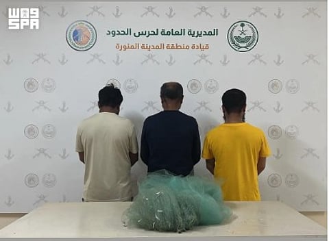 أهمية حماية الثروة السمكية في ينبع للحياة البحرية