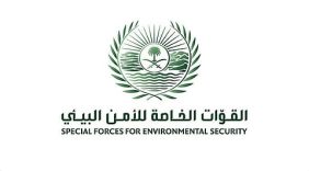 ضبط 10 مخالفين من الجنسيتين الباكستانية والإثيوبية لاستغلالهم الرواسب في الرياض