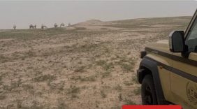 القوات الخاصة للأمن البيئي: إجراءات نظامية رادعة ضد مخالفي البيئة