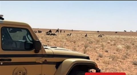 ضبط مواطن لارتكابه مخالفة رعي في محمية الإمام تركي بن عبدالله الملكية