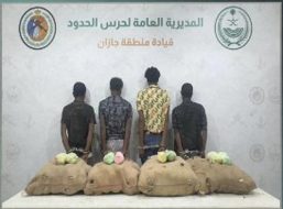 آخر أخبار مكافحة تهريب القات في جازان والنتائج الميدانية