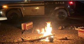 حماية الغطاء النباتي: كيف تبلغ عن المخالفات البيئية؟