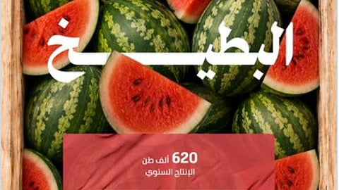 جودة عالمية: مميزات إنتاج البطيخ في السعودية والأسواق المستهدفة