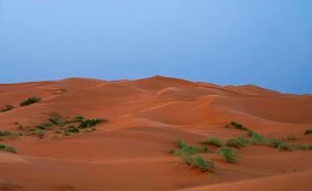 «النفود الكبير».. لوحة رملية ساحرة ترسم مشهدًا طبيعيًّا جنوب رفحاء