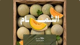بإنتاج تجاوز 70.5 ألف طن.. الشمام يغذي أسواق المملكة بأجود الأصناف
