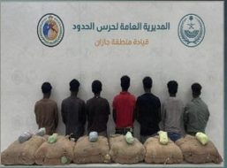 تطورات مكافحة تهريب نبات القات في المناطق الحدودية بجازان