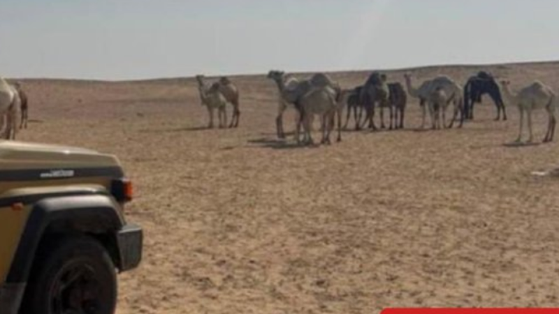 دور المواطن في حماية محمية الملك عبدالعزيز الملكية والبيئة