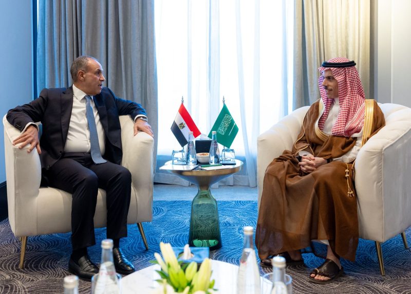 دور التنسيق السعودي المصري في دعم حقوق الشعب الفلسطيني المشروعة