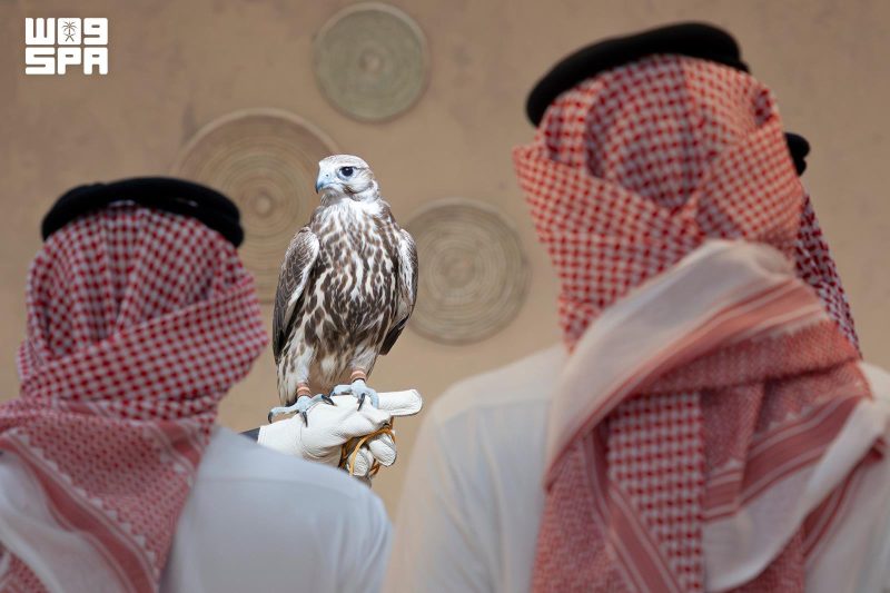 الرياض تحتضن المزاد الدولي لمزارع إنتاج الصقور بنسخته الجديدة
