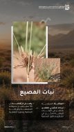 التنوع الإحيائي داخل محمية الملك سلمان بن عبدالعزيز الملكية بسكاكا
