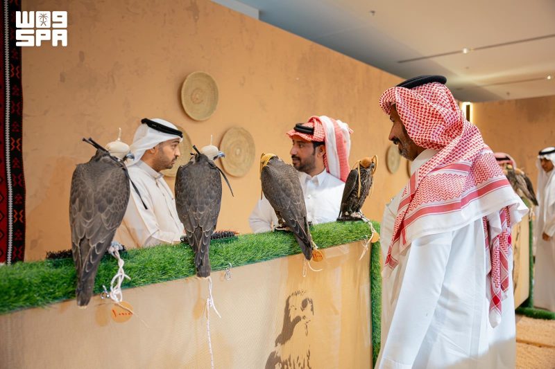 فعاليات المزاد الدولي لمزارع إنتاج الصقور تستقطب العائلات بالرياض