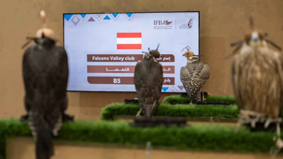 المزاد الدولي لمزارع إنتاج الصقور يجمع نخبة الصقارين في الرياض