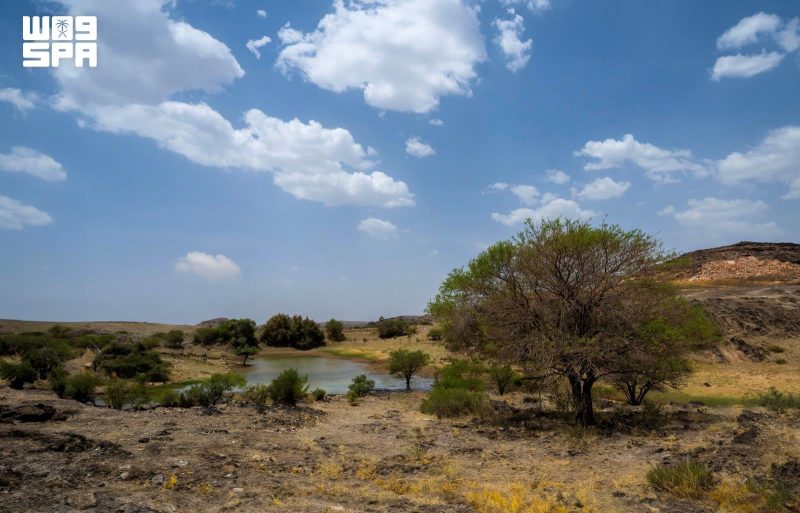 تجربة سياحة الطبيعة في بدر الجنوب للباحثين عن الهدوء