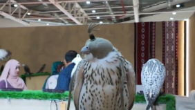 كل ما تريد معرفته عن المزاد الدولي لمزارع إنتاج الصقور بملهم