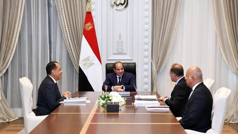 الاستثمار في مصر: الرقابة المالية وحماية حقوق المستثمرين