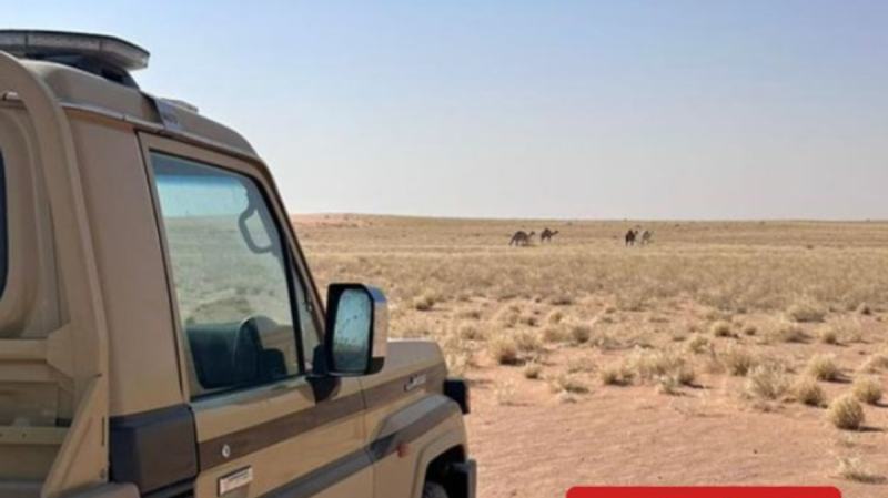 القوات الخاصة للأمن البيئي تواصل مهامها في حماية المحميات الملكية
