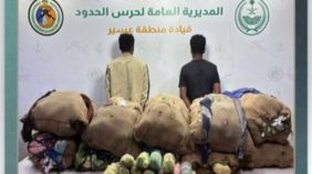 استراتيجية حرس الحدود السعودي لتجفيف منابع تهريب القات