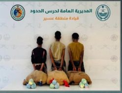 إحباط تهريب المخدرات: عمليات استباقية لتجفيف منابع السموم بعسير