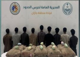 200 كيلوجرام من القات.. تفاصيل إحباط تهريب القات في جازان