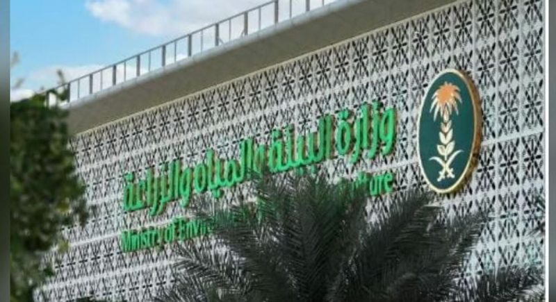 مستقبل الاستدامة: دور ترشيد استهلاك المياه في تحقيق رؤية المملكة