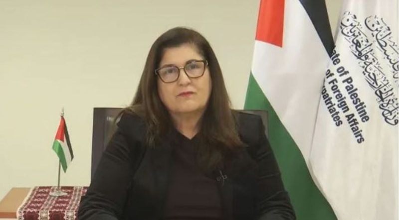 الانتهاكات الإسرائيلية في فلسطين: رسائل دبلوماسية للعالم