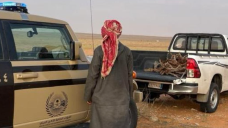 مستقبل حماية الغطاء النباتي في المملكة في ظل رؤية السعودية 2030